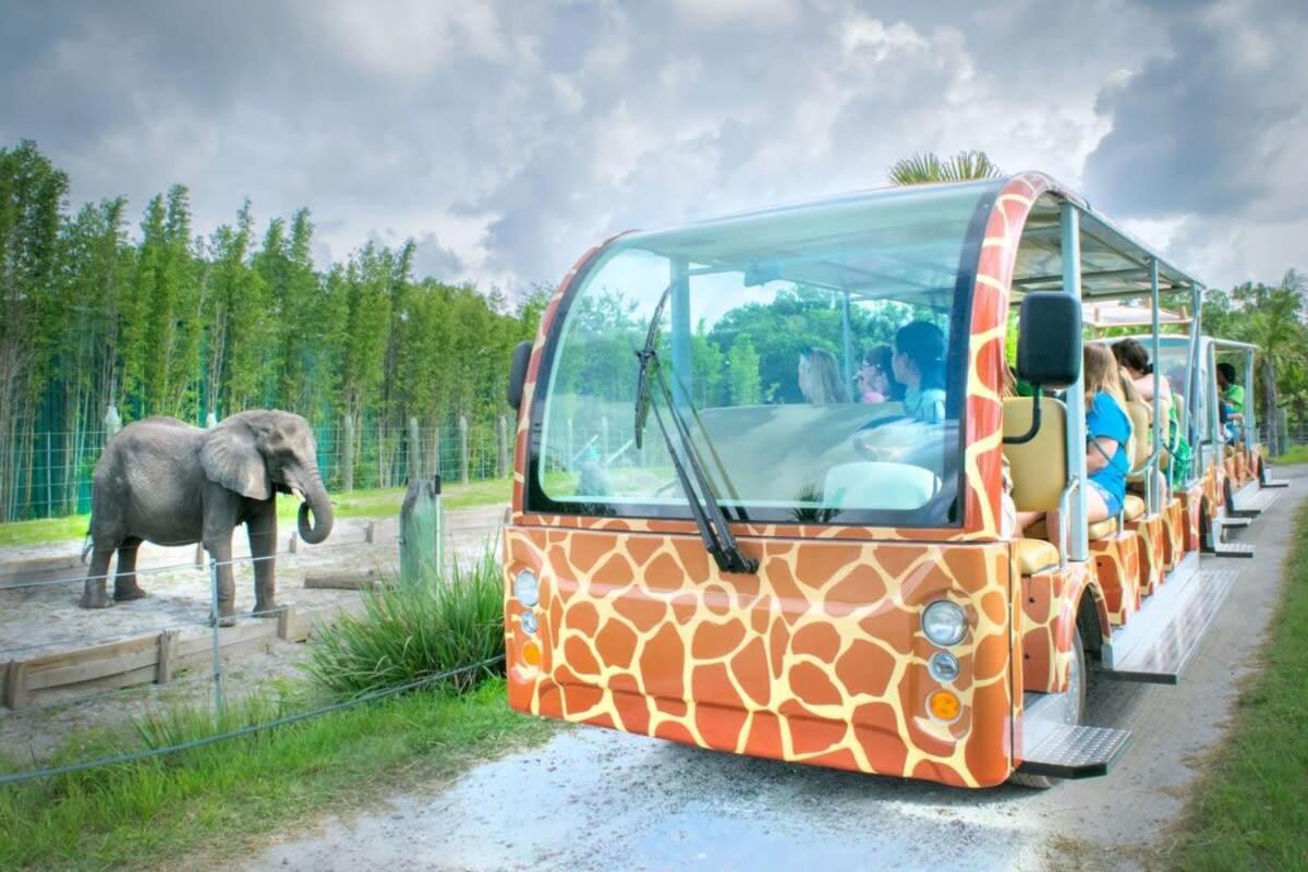 Budget Friendly Sleeps 8 Discounts Available Тампа Екстериор снимка